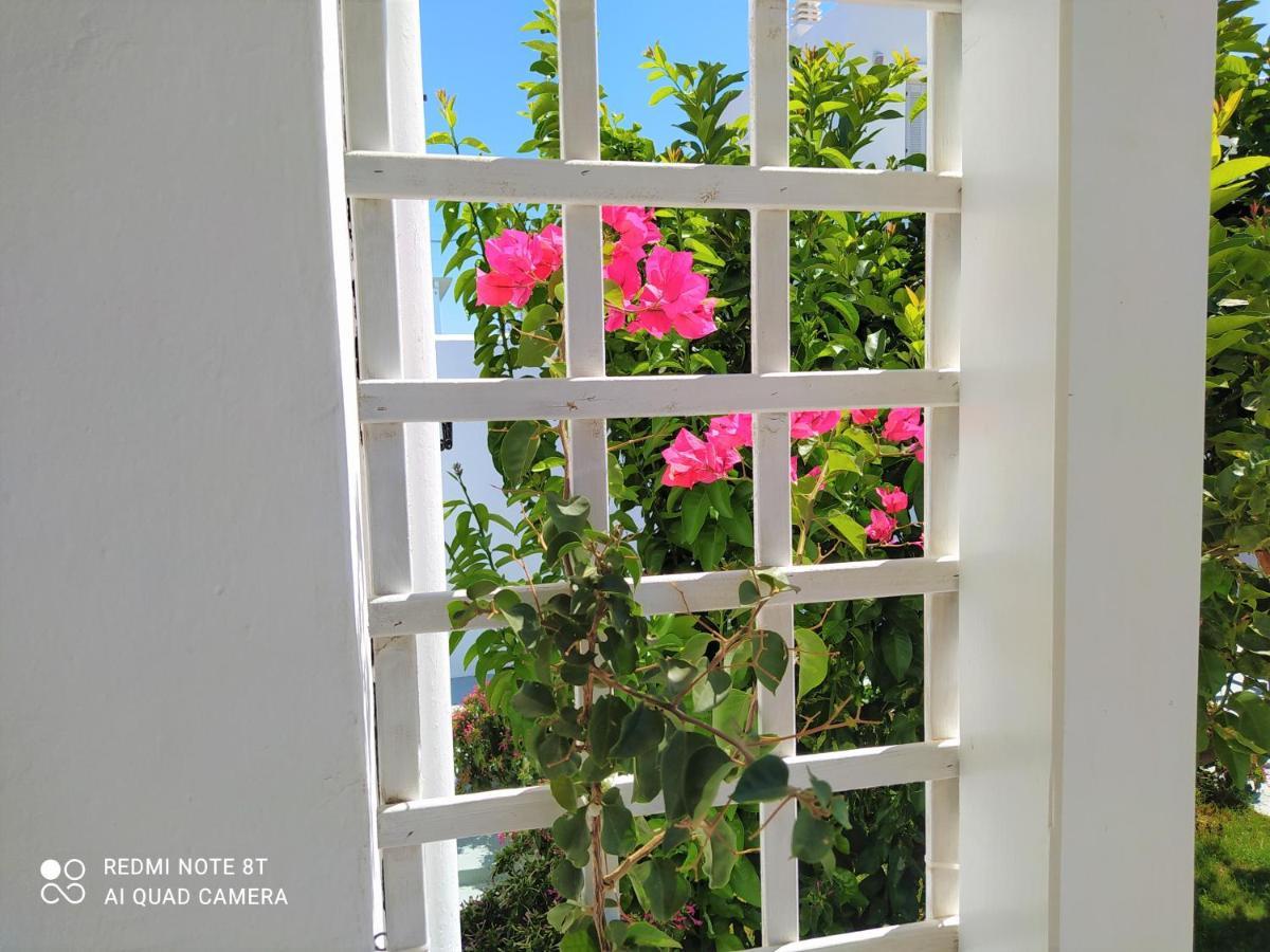 אפולוניה Geoni'S Villa & Garden Spa מראה חיצוני תמונה